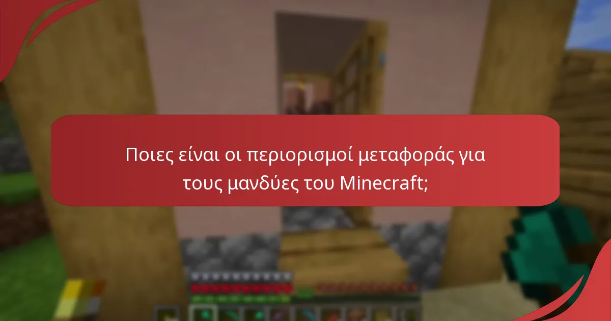 Ποιες είναι οι περιορισμοί μεταφοράς για τους μανδύες του Minecraft;